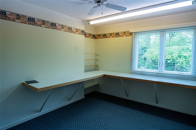 1126 SE Mallard Creek Dr, Ankeny, IA 50021 - unfurnished office featuring dark colored carpet, a ceiling fan, and a textured ceiling