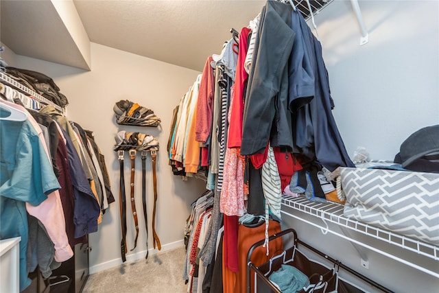 602 NE 57th St, Ankeny, IA 50021 - walk in closet featuring carpet