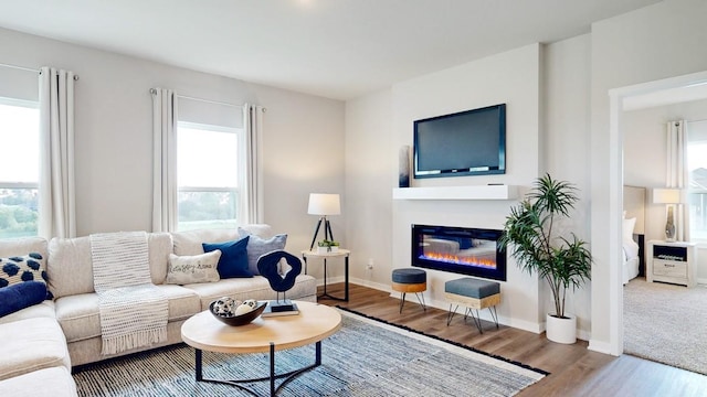 440 Meadows Ct, Polk City, IA 50226 - living area featuring wood finished floors, healthy amount of natural light, a glass covered fireplace, and baseboards