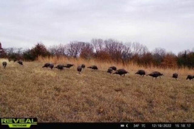 7708 Virginia St, New Virginia, IA 50210