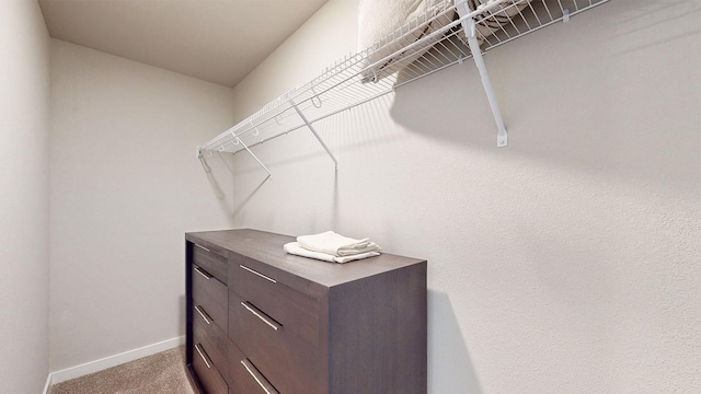 484 Kinley Dr, Waukee, IA 50263 - spacious closet featuring carpet flooring