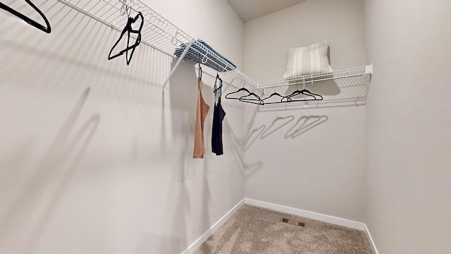 484 Kinley Dr, Waukee, IA 50263 - walk in closet with carpet floors