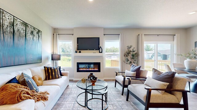 480 Kinley Dr, Waukee, IA 50263 - living room featuring plenty of natural light, a glass covered fireplace, light wood-style floors, recessed lighting, and baseboards