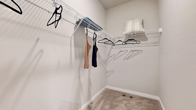 480 Kinley Dr, Waukee, IA 50263 - walk in closet with carpet