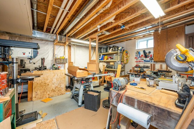 168 SE Sweetgrass Ln, Pleasant Hill, IA 50327 - below grade area featuring a workshop area