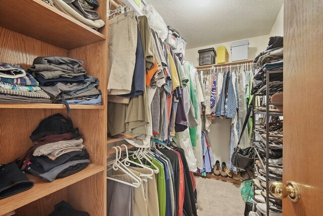 4623 62nd St, Urbandale, IA 50322 - spacious closet featuring carpet flooring