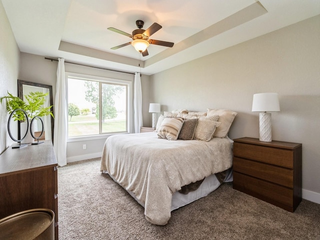 1102 NE 15th Ln, Ankeny, IA 50021 - carpeted bedroom featuring a tray ceiling and a ceiling fan