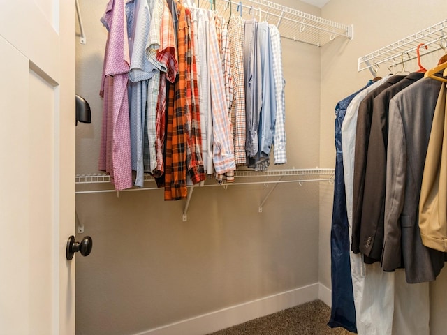 1102 NE 15th Ln, Ankeny, IA 50021 - spacious closet featuring carpet