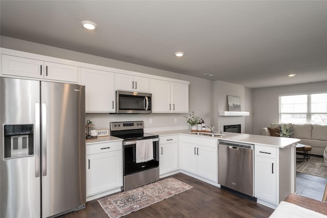 3451 10th Ave SW, Altoona, IA 50009 - kitchen featuring stainless steel appliances, a peninsula, open floor plan, dark wood finished floors, and light countertops