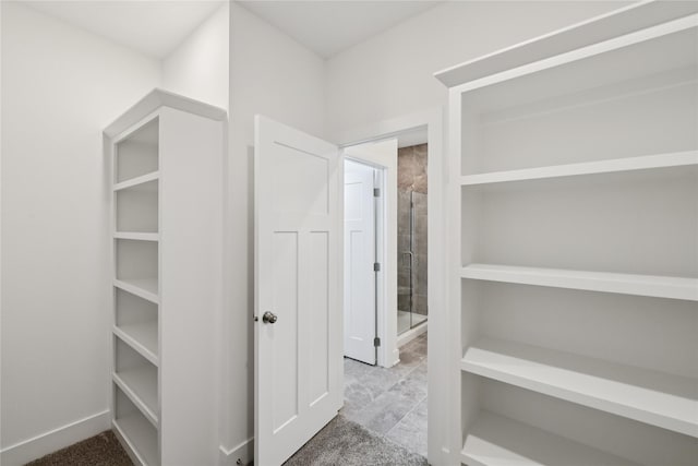 150 NW Hidden Knl, Waukee, IA 50263 - spacious closet featuring carpet