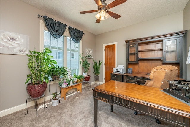 6725 NW 93rd St, Johnston, IA 50131 - office area featuring ceiling fan, carpet flooring, and a textured ceiling