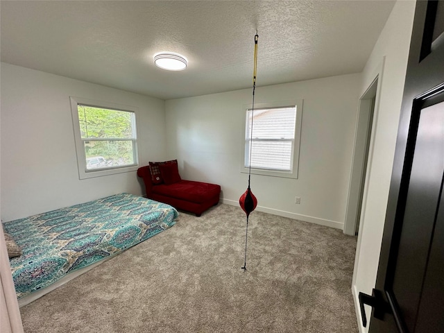 809 Knob Hill Dr, Des Moines, IA 50317 - photo 16