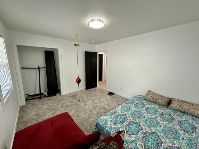 809 Knob Hill Dr, Des Moines, IA 50317 - photo 17