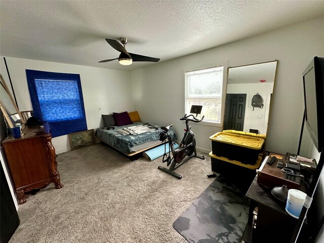 809 Knob Hill Dr, Des Moines, IA 50317 - photo 10