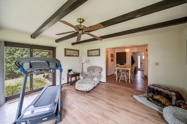 1543 S 16th Ave W, Newton, IA 50208 - exercise area featuring light wood-style flooring and a ceiling fan