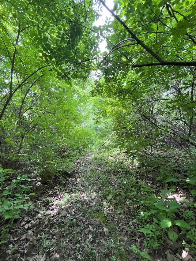 2626 SE 72nd St, Runnells, IA 50237 - view of local wilderness