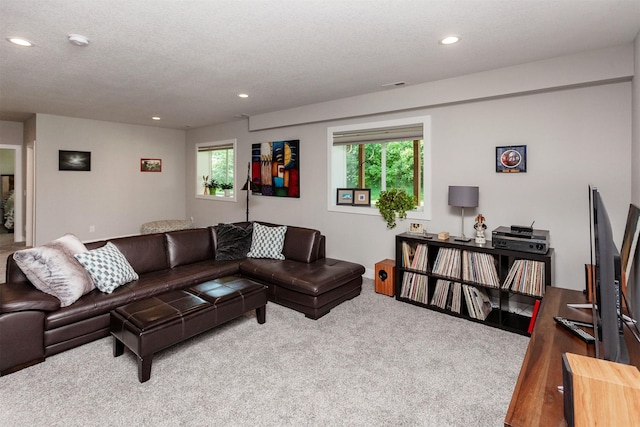 9180 Geanna Ct, West Des Moines, IA 50266 - living area with carpet, plenty of natural light, and recessed lighting