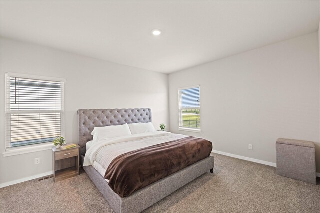 10525 Powell Ave, Johnston, IA 50131 - bedroom featuring carpet flooring and recessed lighting