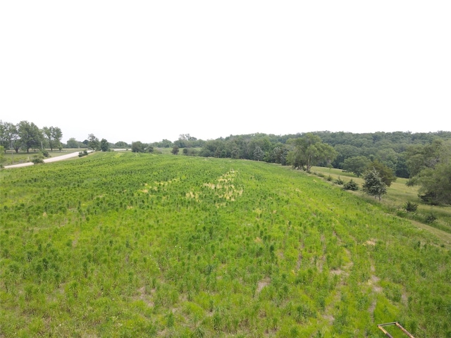 23254 235th Pl, Lacona, IA 50139 - photo 31
