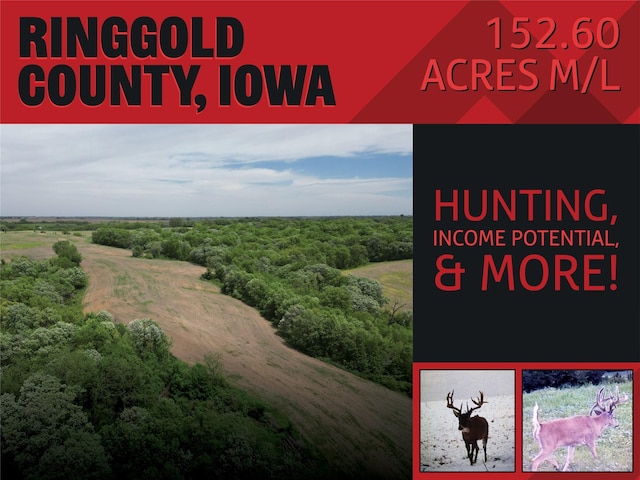 00 280th St, Redding, IA 50860