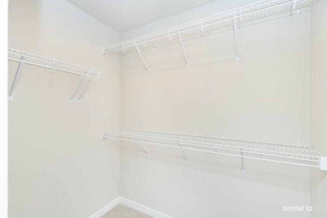 735 Linden St, Carlisle, IA 50047 - walk in closet featuring carpet floors