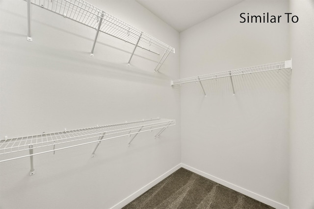 16738 Walnut Meadows Cir, Urbandale, IA 50323 - spacious closet with dark colored carpet