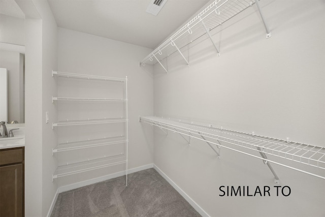 2212 Legacy Dr, Norwalk, IA 50211 - spacious closet with carpet floors and a sink