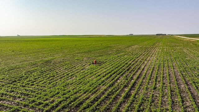 TBD Quail Rd, Bagley, IA 50026 - photo 18