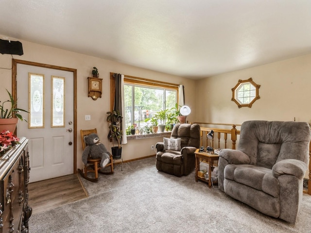 312 N J St, Indianola, IA 50125 - living area featuring carpet floors and baseboards
