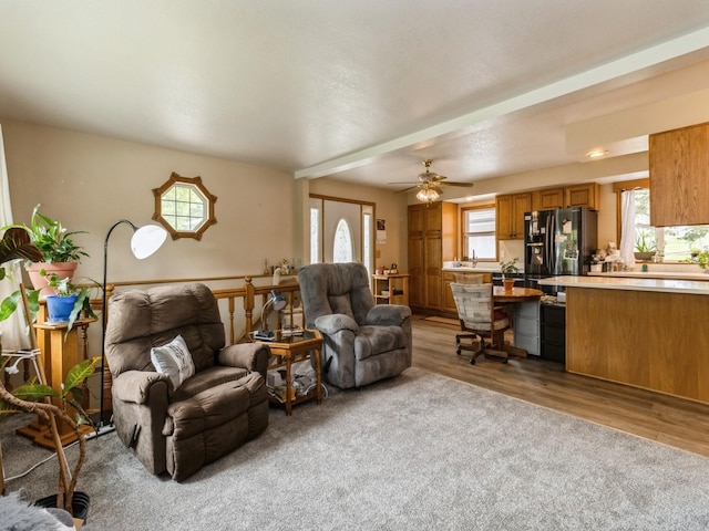 312 N J St, Indianola, IA 50125 - living area with healthy amount of natural light, wood finished floors, and a ceiling fan