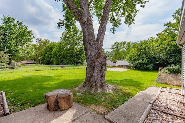 4080 SE 15th Ct, Des Moines, IA 50320 - view of yard