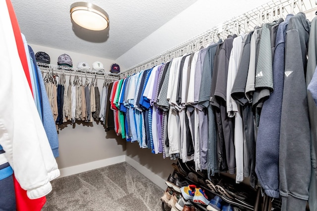 5477 S Prairie View Dr, West Des Moines, IA 50266 - spacious closet featuring carpet flooring