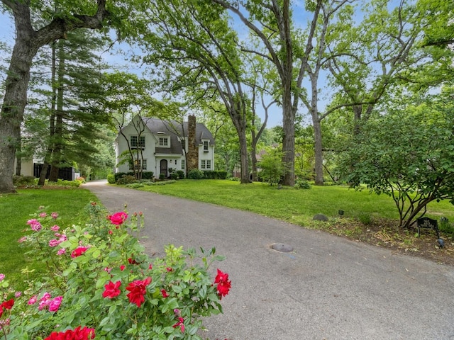 215 Foster Dr, Des Moines, IA 50312 - view of front of home featuring a front lawn, a chimney, and driveway