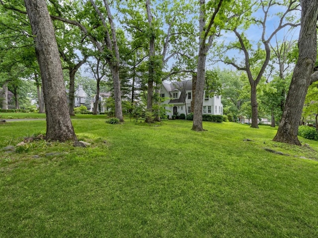 215 Foster Dr, Des Moines, IA 50312 - view of grassy yard