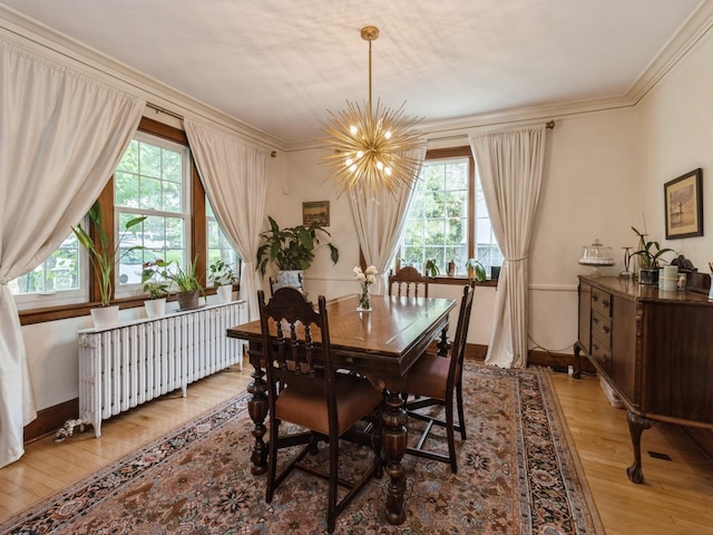 215 Foster Dr, Des Moines, IA 50312 - dining space featuring radiator heating unit, a chandelier, light wood-style floors, and ornamental molding