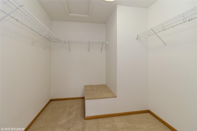 8610 Ep True Pkwy Unit 14002, West Des Moines, IA 50266 - spacious closet featuring light carpet