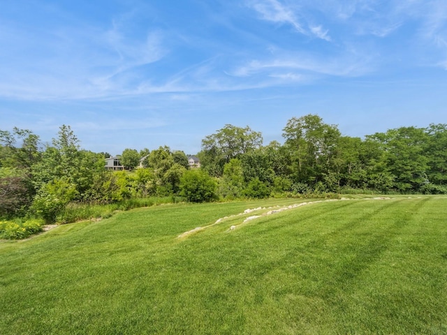 1863 Glen Oaks Dr, West Des Moines, IA 50266 - view of green lawn
