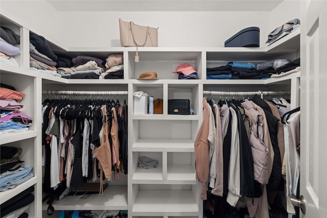 1117 S 52nd St Unit 1705, West Des Moines, IA 50265 - view of walk in closet