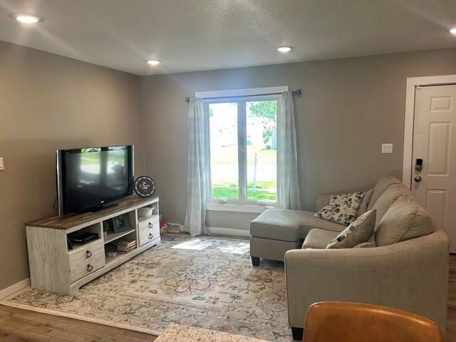 316 NW Linden St, Ankeny, IA 50023 - living room featuring wood finished floors and recessed lighting