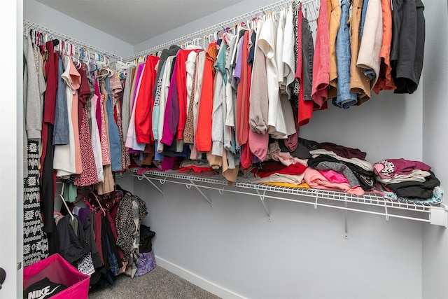 481 10th St, Waukee, IA 50263 - spacious closet featuring carpet