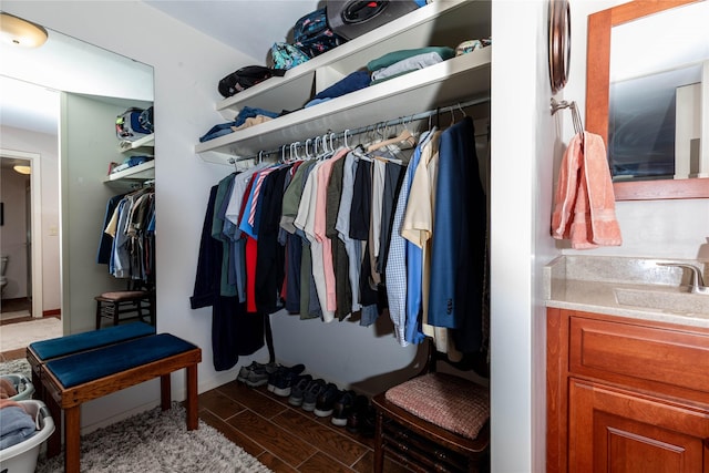 3663 Grand Ave Unit 604, Des Moines, IA 50312 - walk in closet featuring a sink and light wood-style floors