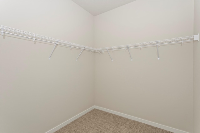 1331 NW Brandywine Ln, Waukee, IA 50263 - photo 14