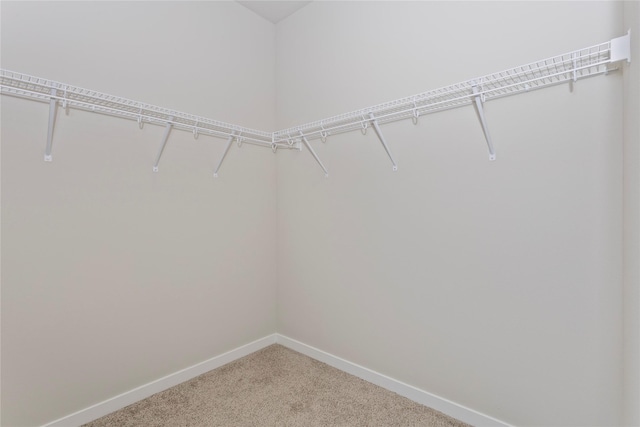 1331 NW Brandywine Ln, Waukee, IA 50263 - photo 20