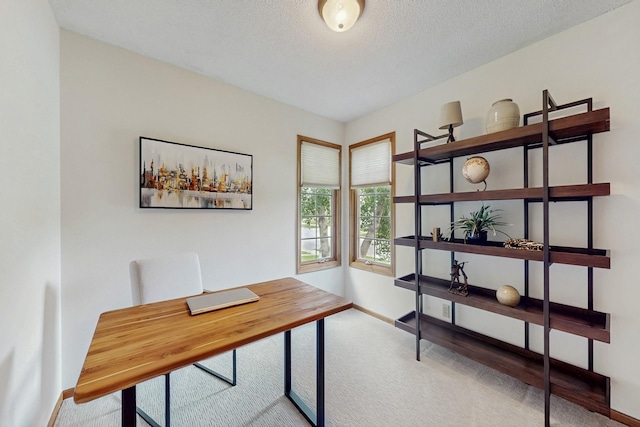 4855 Coachlight Dr, West Des Moines, IA 50265 - unfurnished office featuring carpet and a textured ceiling