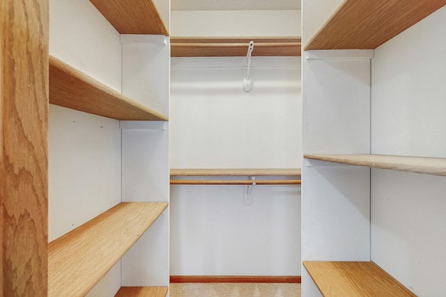 4855 Coachlight Dr, West Des Moines, IA 50265 - spacious closet with carpet