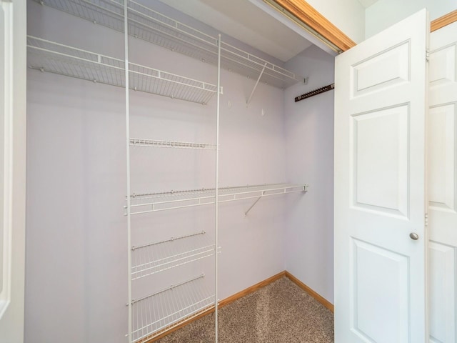 1155 NE 7th Ln, Ankeny, IA 50021 - view of closet