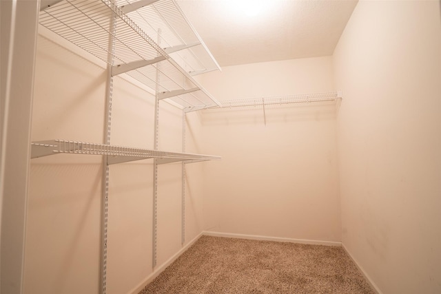 1422 SE Waywin Dr, Ankeny, IA 50021 - spacious closet featuring carpet floors