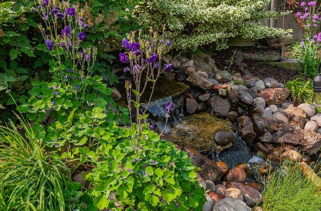 1213 NW Greenwood St, Ankeny, IA 50023 - exterior view of a garden pond