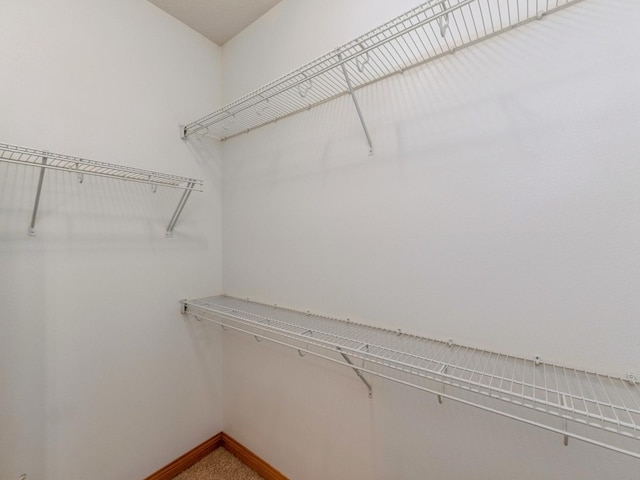 2227 4th Ave SE, Altoona, IA 50009 - walk in closet featuring carpet floors