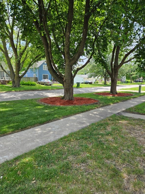 1327 Crawford St, Boone, IA 50036 - photo 5